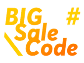 bigsalecode.com